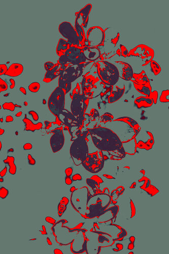 Flowers von Viacheslav Haidei, Fotografie kaufen auf Singulart