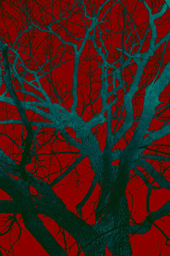 Night walk by Viacheslav Haidei, 사진 for Sale on Singulart