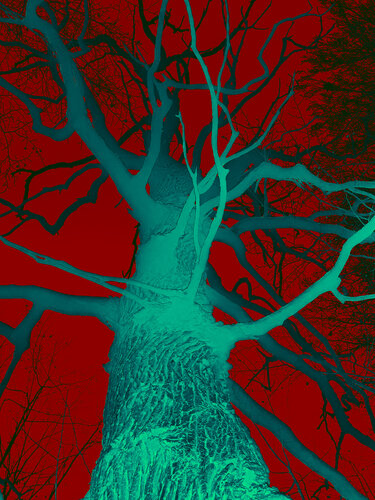 Tree in fog by Viacheslav Haidei, 사진 for Sale on Singulart