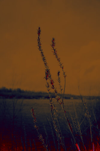 View on the river par Viacheslav Haidei, Photographie en vente sur Singulart