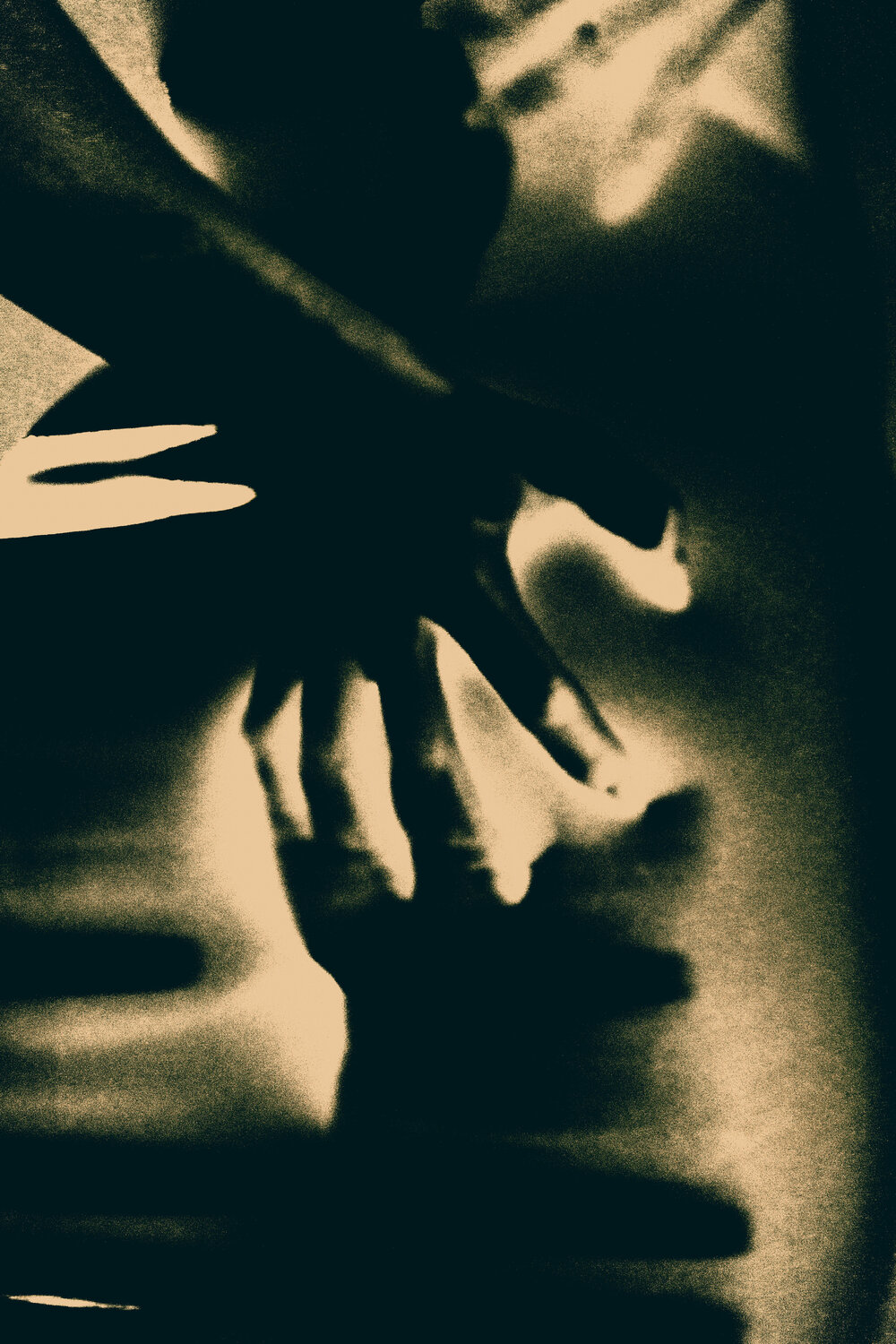 Passion Viacheslav Haidei