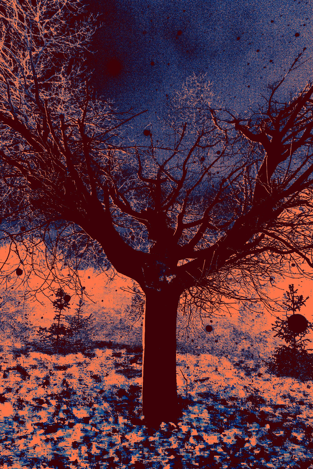 Mystique tree Viacheslav Haidei