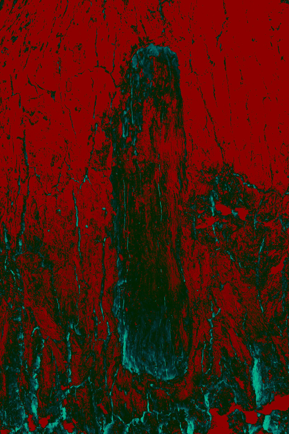 Trunk Viacheslav Haidei