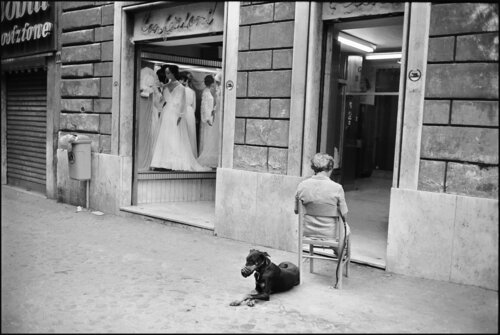Woman with Doberman and Wedding Dresses, Rome James Rae