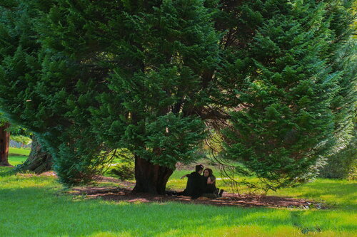 Couple In the Botanic Gardens, Belfast von James Rae, Fotografie kaufen auf Singulart