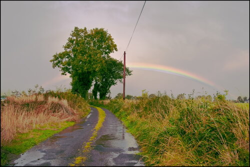 On the Road to Killarney James Rae
