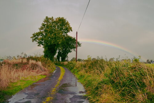 On the Road to Killarney James Rae