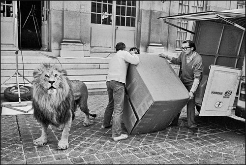 Lion, Paris James Rae