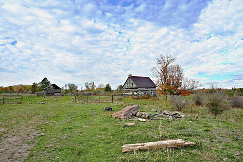 Log House, County Road 503, Irondale, Ontario 2025-10-11 di James Rae, Fotografia in vendita su Singulart