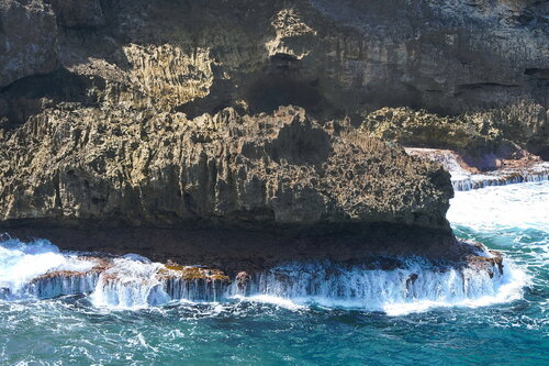 Rock Monster - Crab Hill, Barbados - February 2026 James Rae