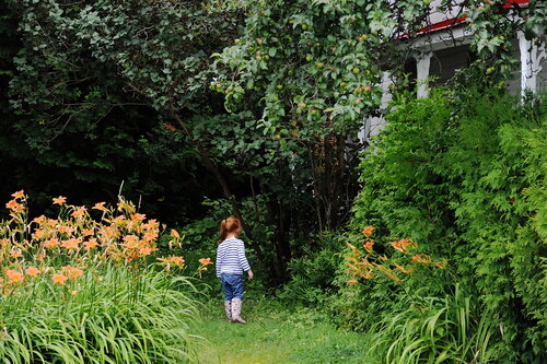 Girl in a Garden -- North Hatley, Quebec - July 2013 von James Rae, Fotografie kaufen auf Singulart