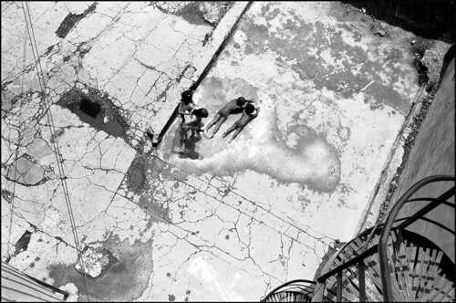Puddle Party by James Rae, Photography for Sale on Singulart