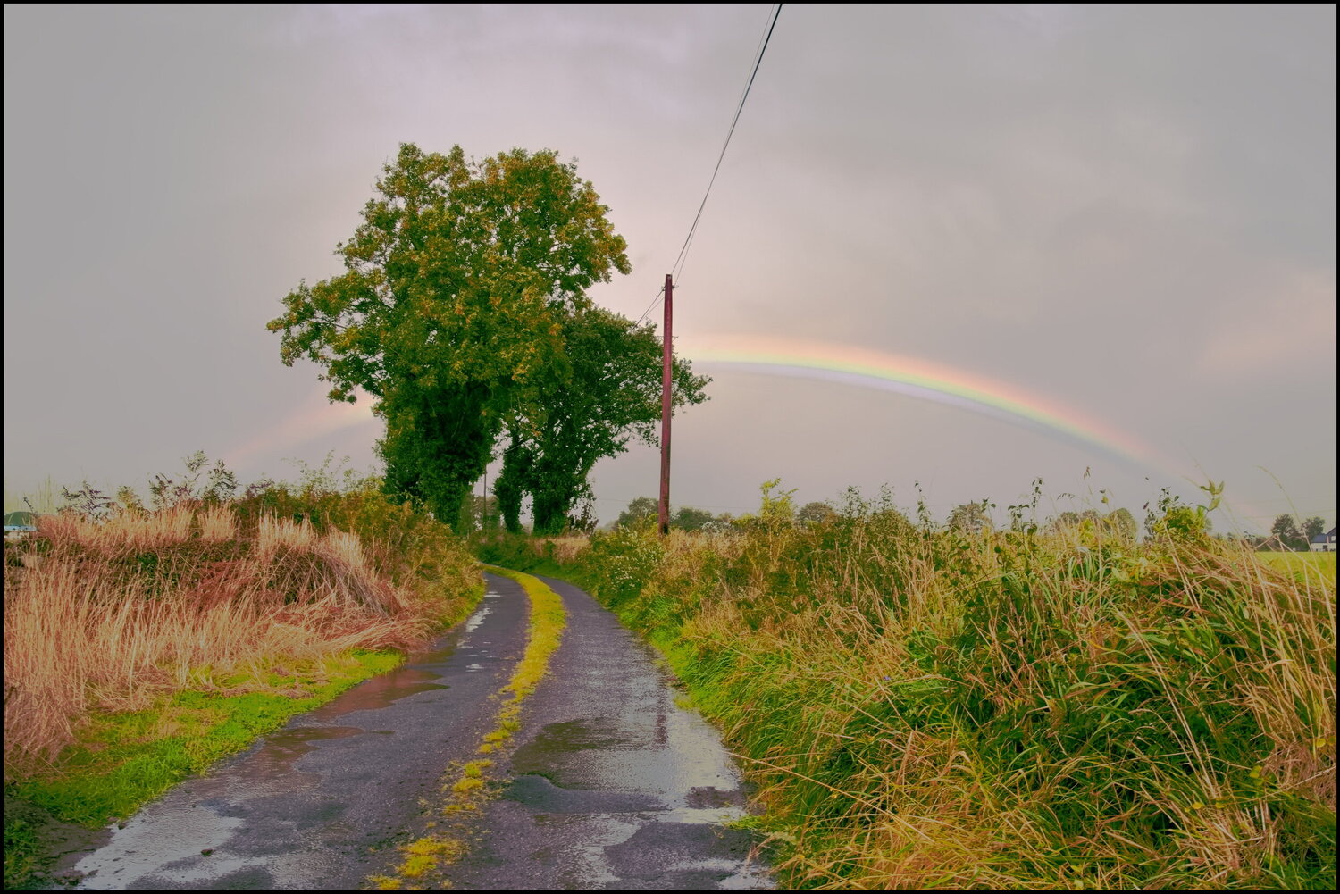 On the Road to Killarney James Rae Fotografie zu verkaufen