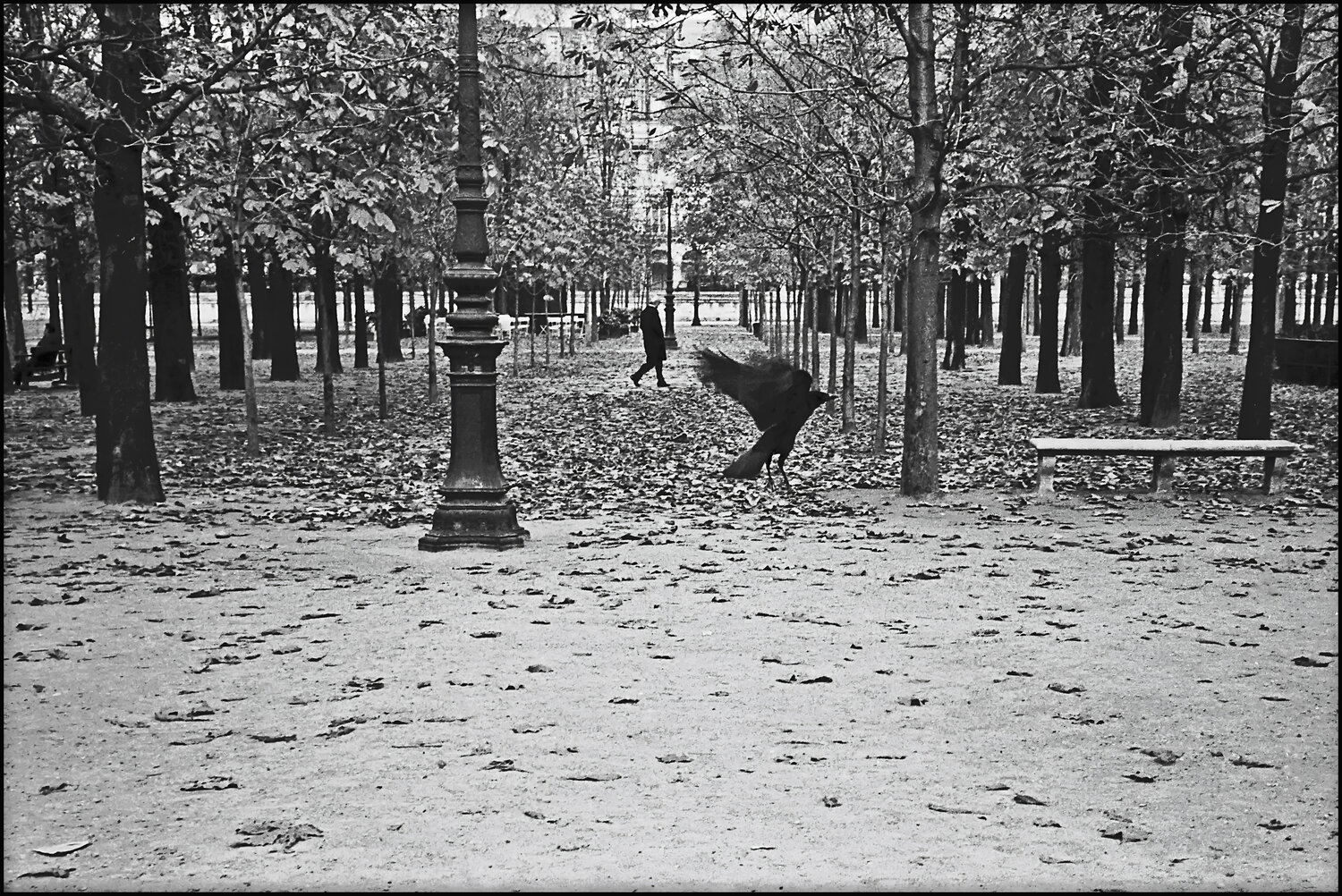 Man with Crow James Rae