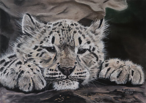 jung, wild und .... müde by Stefanie Angelkorte, Work on Paper for Sale on Singulart