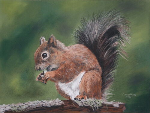 Nussknacker by Stefanie Angelkorte, Work on Paper for Sale on Singulart