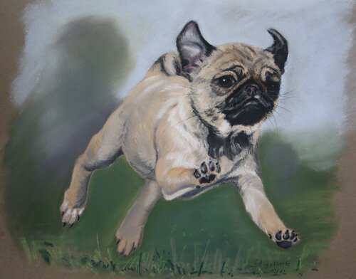 Der fliegende Mops by Stefanie Angelkorte, 소묘 for Sale on Singulart