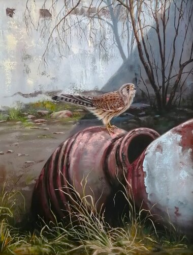 Look! There is a kestrel in the backyard! von Satu Helle, Malerei kaufen auf Singulart