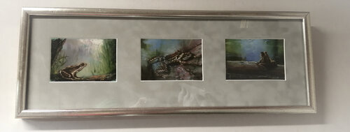 Happy frogs! de Satu Helle, Pintura a la venta en Singulart