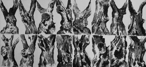 Ecorces vives van -- DEYRMON, Werk op papier te koop op Singulart