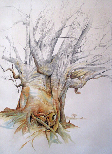 Nullarbor III by -- DEYRMON, Work on Paper for Sale on Singulart