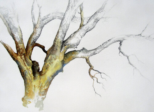 Nullarbor II by -- DEYRMON, Work on Paper for Sale on Singulart