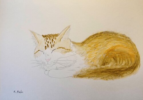 cat van Ryohei Kubo, Schilderij te koop op Singulart
