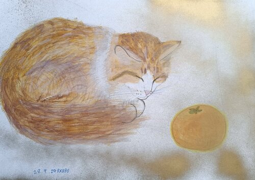 orange and cat van Ryohei Kubo, Schilderij te koop op Singulart
