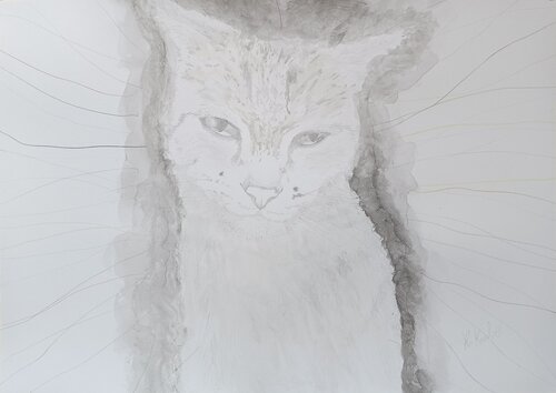 Maruko the cat de Ryohei Kubo, Dibujo a la venta en Singulart