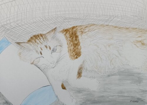 cat by Ryohei Kubo, Painting for Sale on Singulart