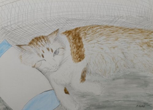 cat par Ryohei Kubo, Peinture en vente sur Singulart