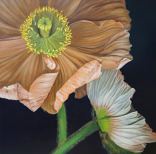 poppy II von Traute Ziegenfuss, Malerei kaufen auf Singulart