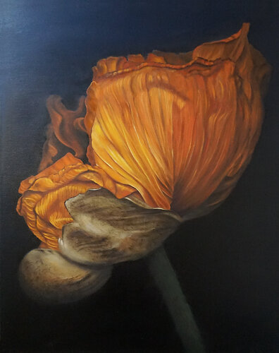 poppy III von Traute Ziegenfuss, Malerei kaufen auf Singulart