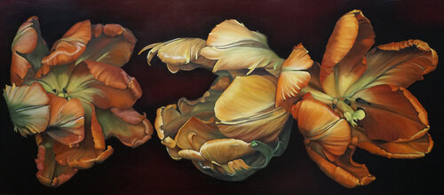 space tulips Traute Ziegenfuss
