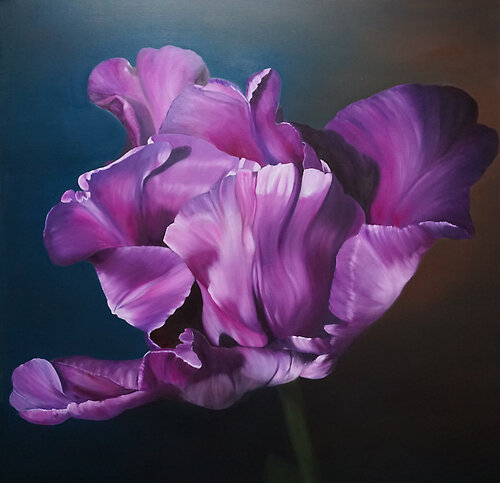 tulip violet van Traute Ziegenfuss, Schilderij te koop op Singulart