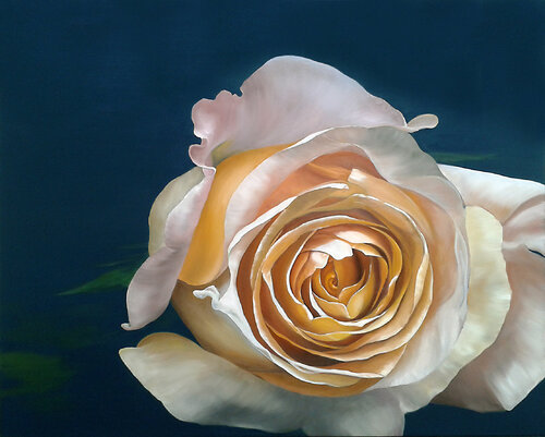 rose I Traute Ziegenfuss