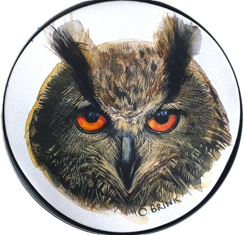Owl van Olga Brink, Schilderij te koop op Singulart