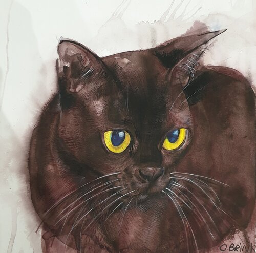 Burmese Cat van Olga Brink, Schilderij te koop op Singulart