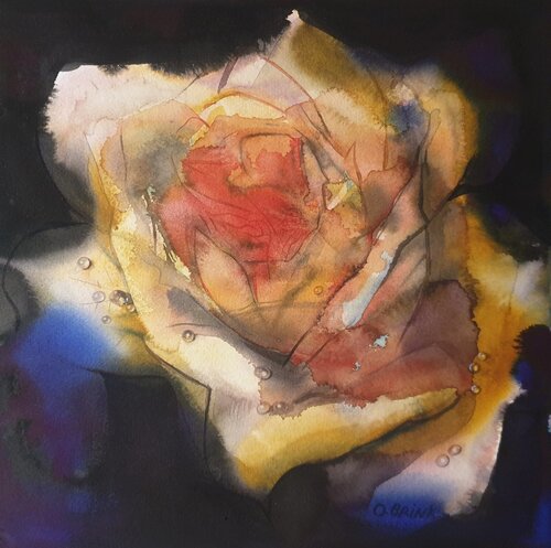 Rose & Water Drops van Olga Brink, Schilderij te koop op Singulart
