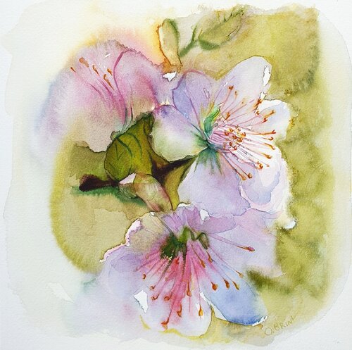 Apple Blossom van Olga Brink, Schilderij te koop op Singulart