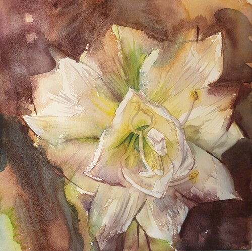 Amaryllis de Olga Brink, Pintura a la venta en Singulart