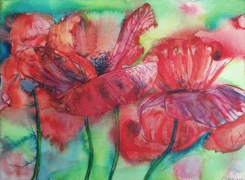 Red Poppy de Olga Brink, Pintura a la venta en Singulart