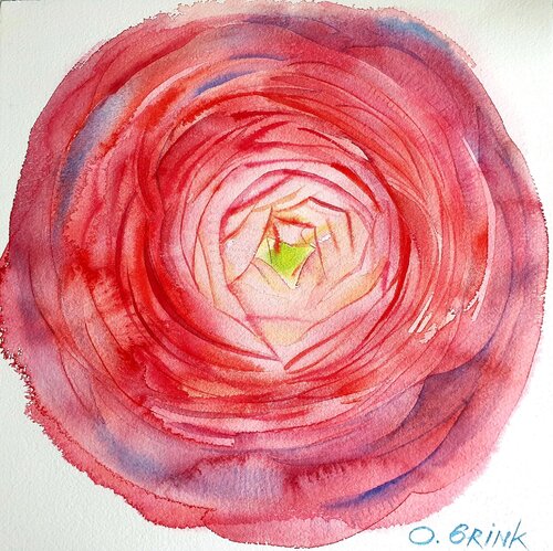 Ranunculus de Olga Brink, Pintura a la venta en Singulart