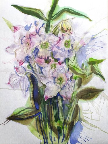 Dendrobium de Olga Brink, Pintura a la venta en Singulart