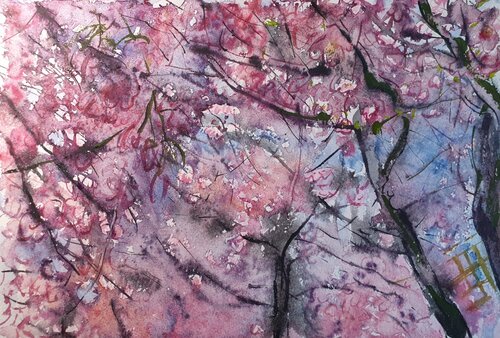 Sakura. Cherry Blossom in Stockholm. de Olga Brink, Pintura a la venta en Singulart