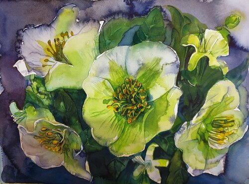 Christmas Rose van Olga Brink, Schilderij te koop op Singulart