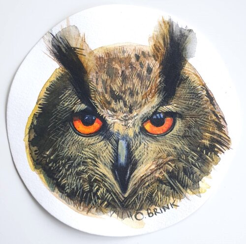 Owl van Olga Brink, Schilderij te koop op Singulart