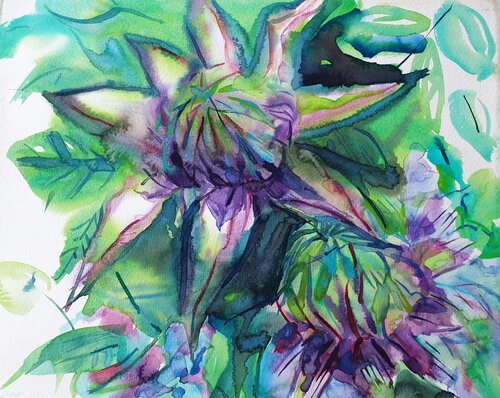 Clematis van Olga Brink, Schilderij te koop op Singulart