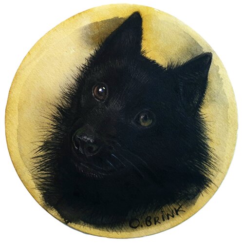 My Schipperke Dog Chaz van Olga Brink, Schilderij te koop op Singulart