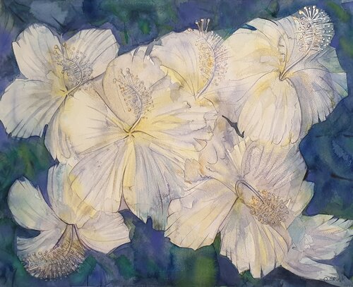 Hibiskus van Olga Brink, Schilderij te koop op Singulart